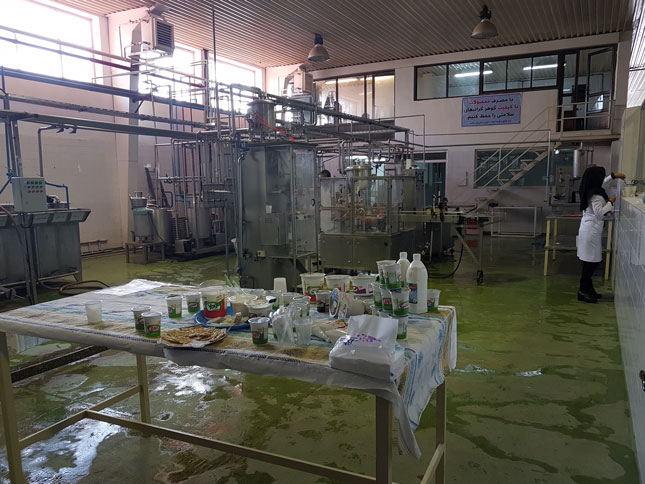 ۲۰۱۷۰۱۰۸ ۰۹۱۷۴۱