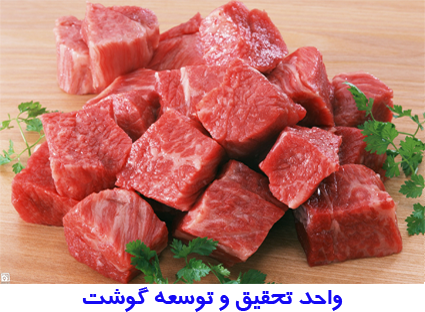 meat