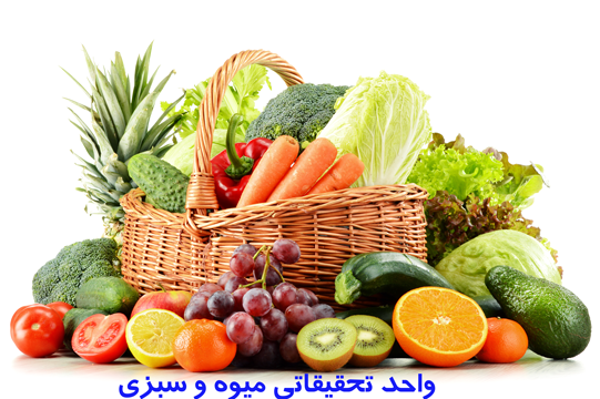 vegetable-02
